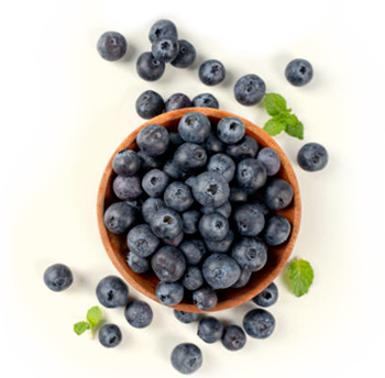 blueberry antioxidants