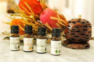 Essentials oils Aroma Pod Diffuser