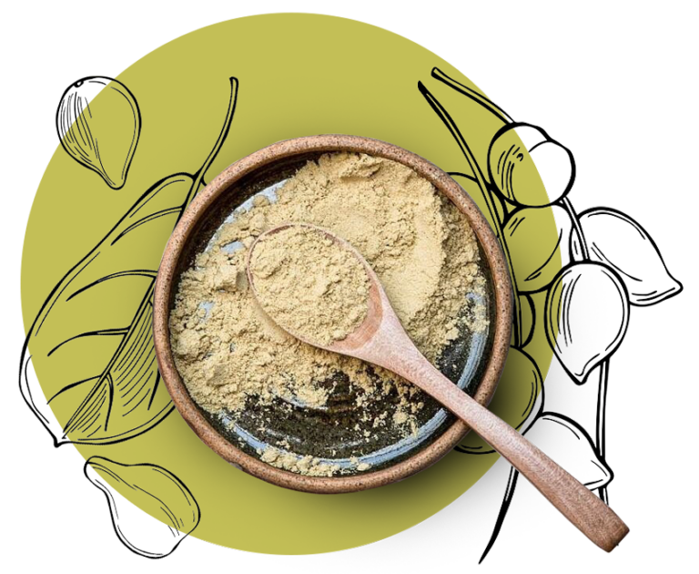 Cooking with Kakadu Plum Powder Oyster Recipe