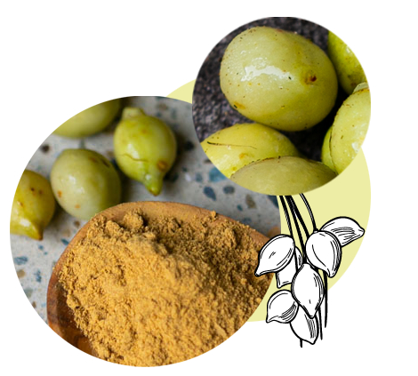 native kakadu plum powder